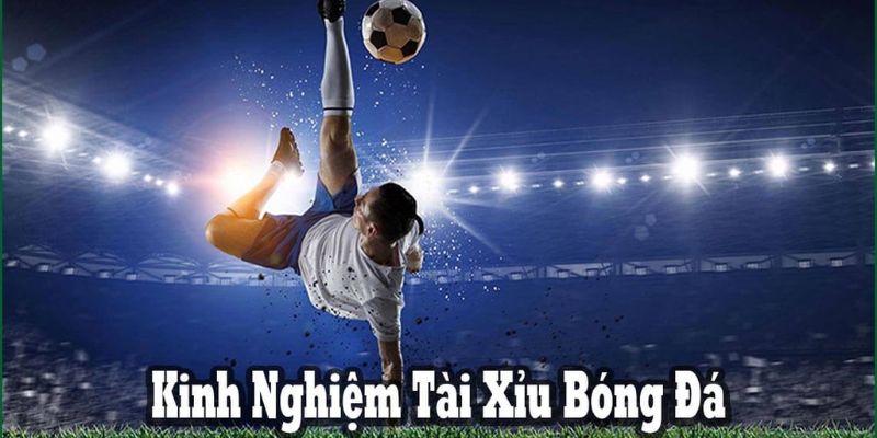 Theo dõi trang tin tức bóng đá King88