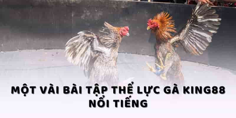 Một vài bài tập thể lực gà KING88 nổi tiếng